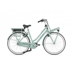 Gazelle Miss Grace C7 HMB Pale Green Glans